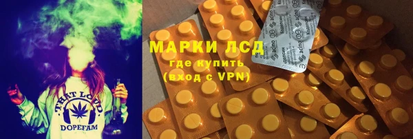 молекула духа Богородицк