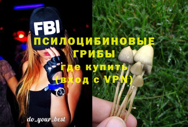молекула духа Богородицк
