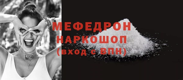 молекула духа Богородицк