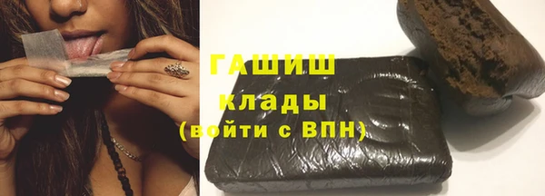 молекула духа Богородицк