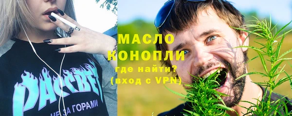 молекула духа Богородицк