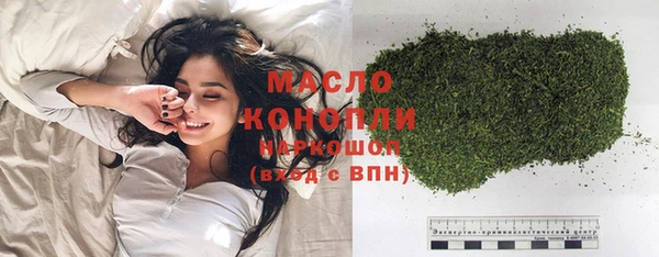молекула духа Богородицк