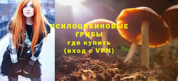 а пвп мука Богданович