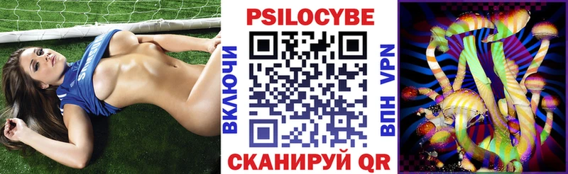 Галлюциногенные грибы Psilocybine cubensis  omg tor  Химки 